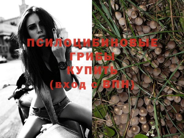 дурь Вязьма
