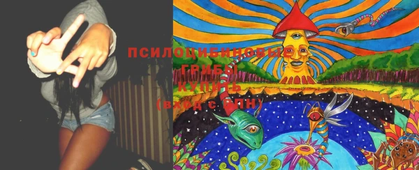 прущие крисы Вяземский
