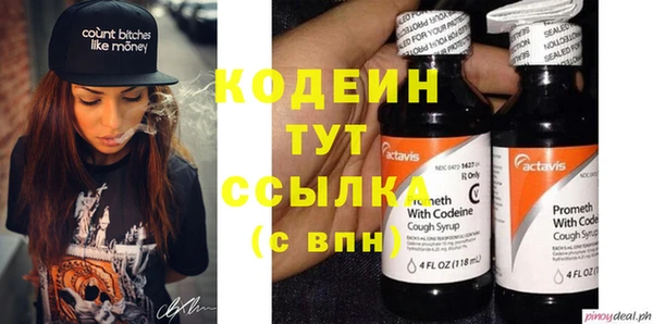 прущие крисы Вяземский