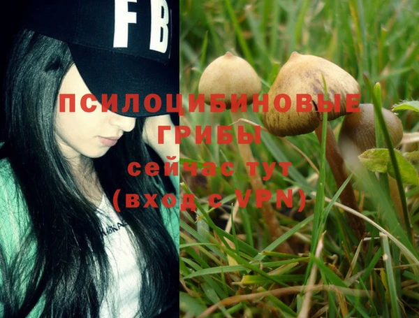 гашик Вязники
