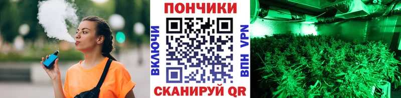 Марихуана марихуана  Великий Новгород 